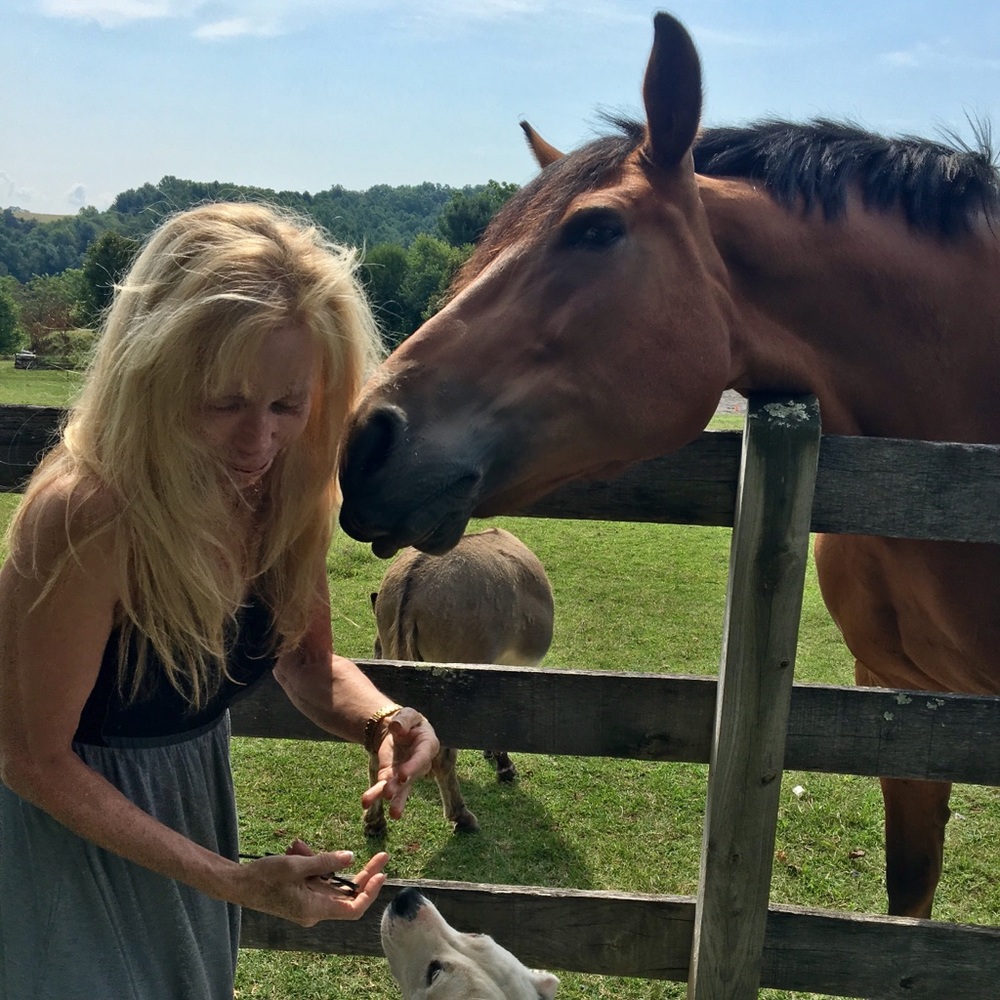 Meet your Posher, Pamela